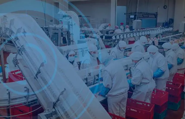 Food Industry 18 | U.S. poultry producer deploys ISS tech to mitigate against product losses U.S. poultry producer deploys ISS tech to mitigate against product losses