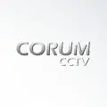 ISS Technology Partners 22 | Partners corum ISS Technology Partners | Partners corum | ISS · Intelligent Security Systems