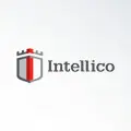 ISS Technology Partners 51 | Partners intellico ISS Technology Partners | Partners intellico | ISS · Intelligent Security Systems