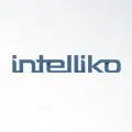 ISS Technology Partners 68 | Partners intelliko ISS Technology Partners | Partners intelliko | ISS · Intelligent Security Systems