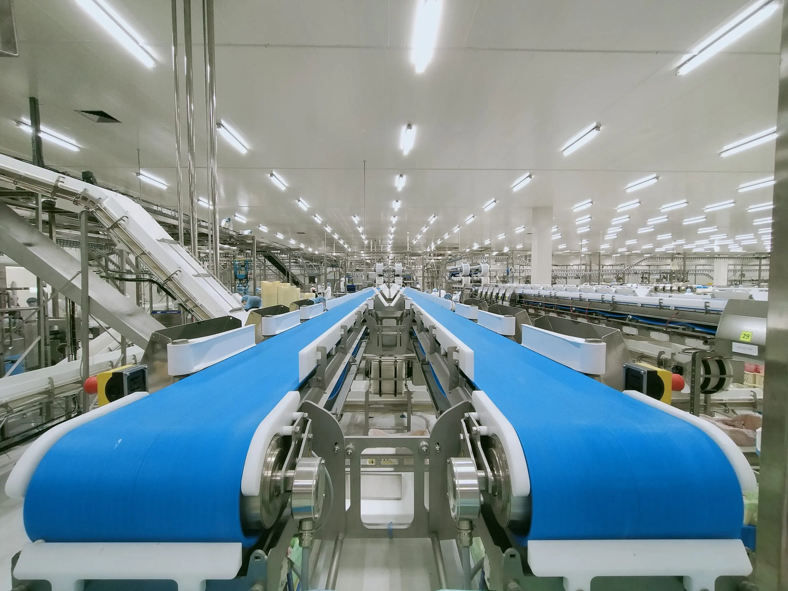 SecurOS® POS 3 | empty conveyor belt in production line of food pro 2023 11 27 05 29 35 utc scaled U.S. Poultry Producer Deploys ISS Tech to Mitigate against Product Losses